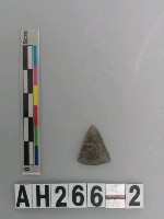 藏品(打製石鏃)的圖片